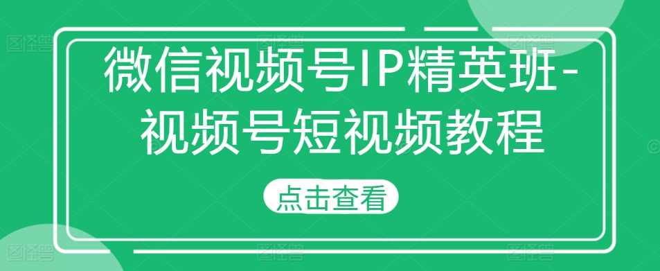 每天微信视频号IP精英班-视频号短视频教程11-06冒泡网