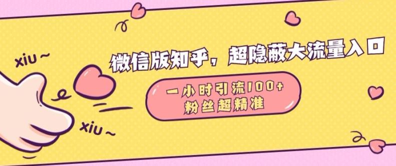 热门项目微信版知乎，超隐蔽流量入口1小时引流100人，粉丝质量超高【揭秘】11-15冒泡网