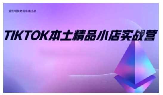 赚钱项目TikTok本土精品小店出海实战营，从入门到高阶，不止0-1!12-19冒泡网