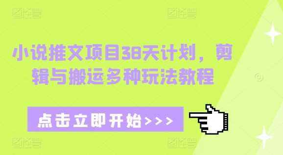 简单项目小说推文项目38天计划，剪辑与搬运多种玩法教程12-23冒泡网